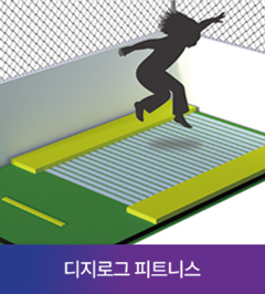 디지로그 피트니스