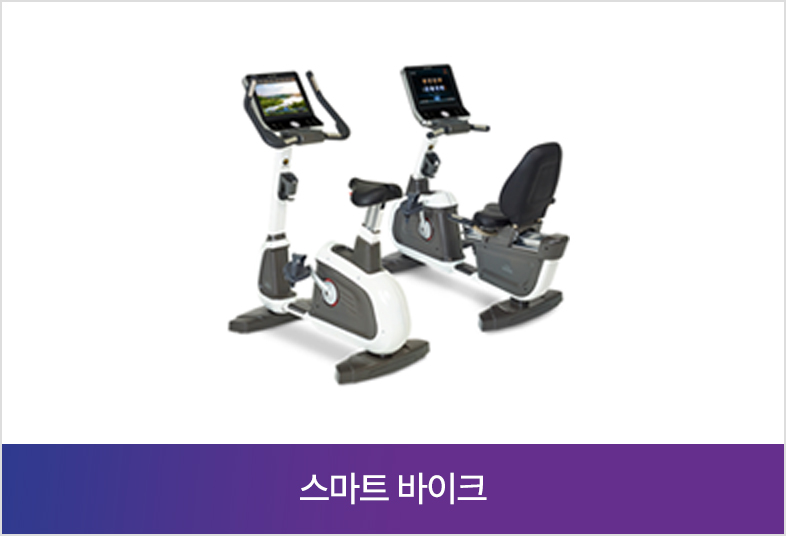스마트 바이크